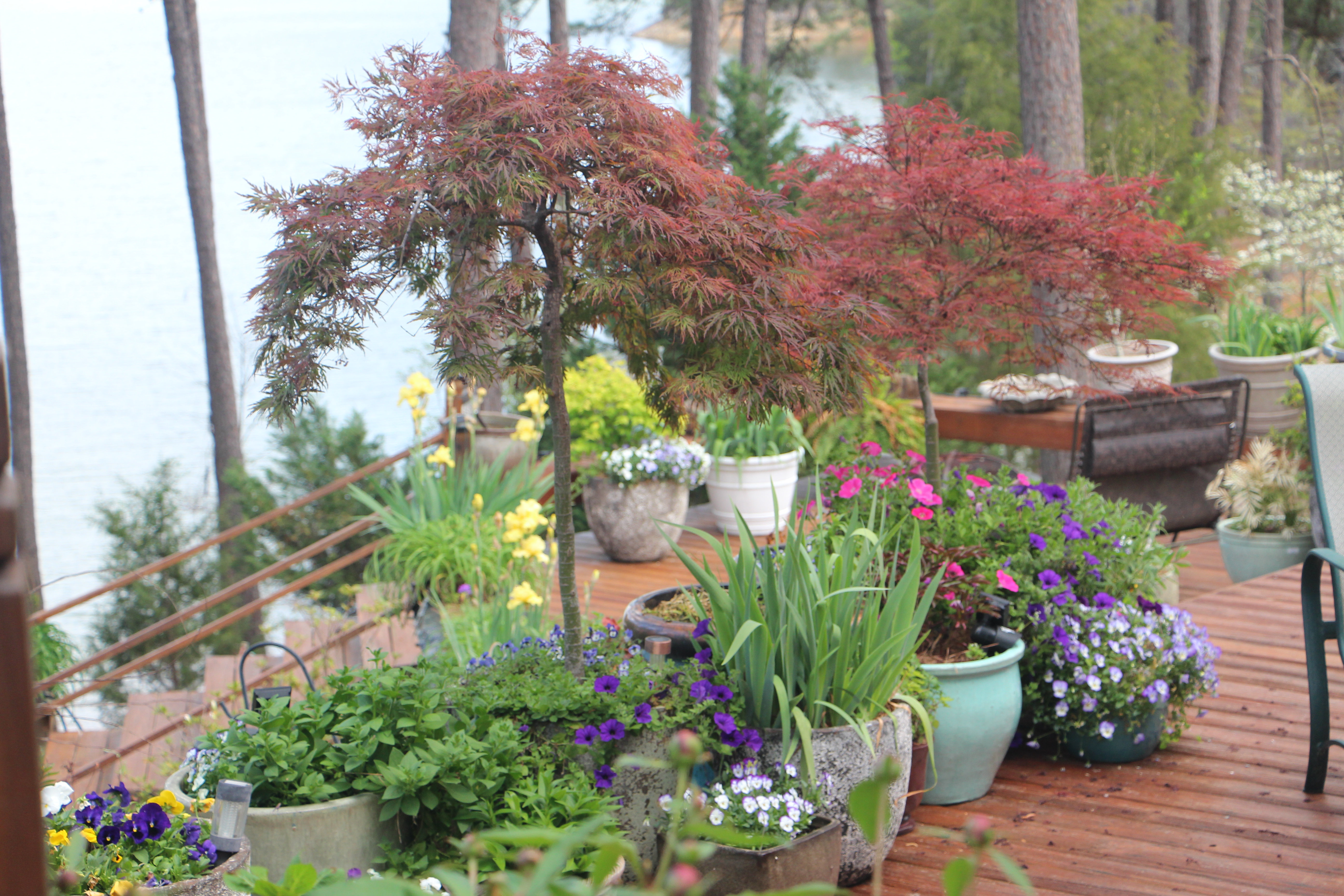 Home 494 Savannah River Realty