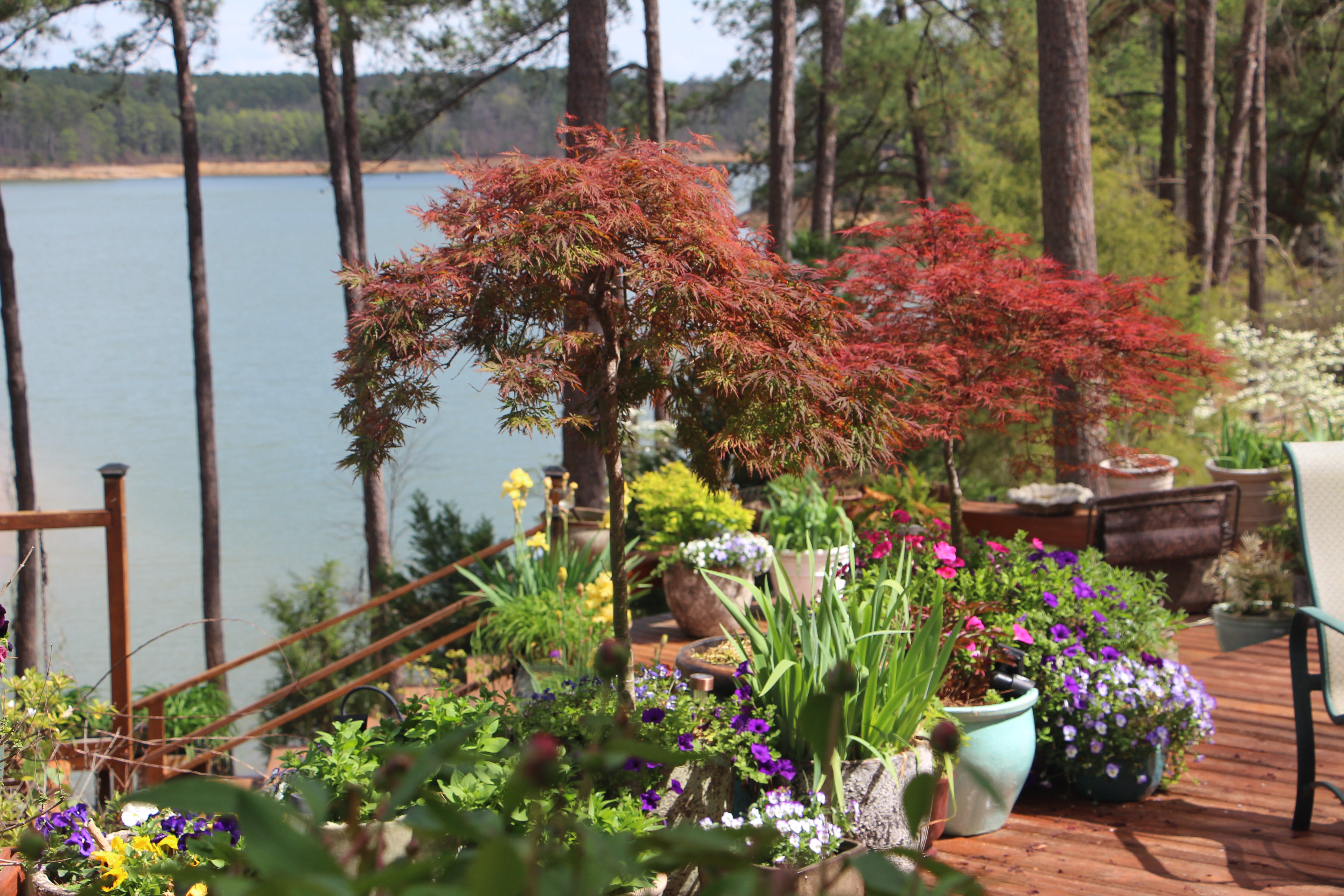 Home 498 Savannah River Realty